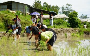 Experiential Learning visit to an organic farm