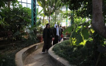 WLP Field Visit to National Botanical Garden